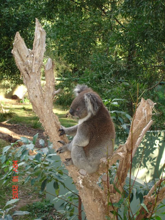 MER_Melbourne_1_080.jpg