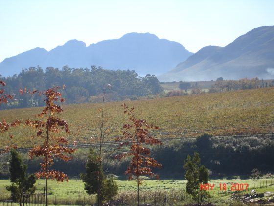 Stellenbosch_038.jpg